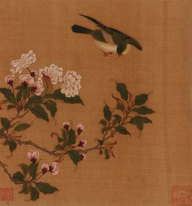 Un oiseau planant au-dessus des branches en fleurs - Unbekannt