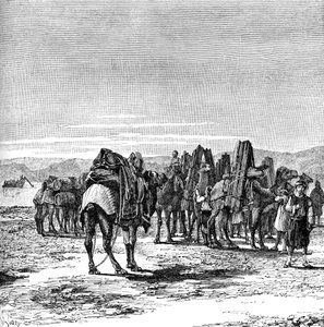 Une caravane sur les rives de l