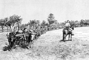 Un convoi de wagons, Amérique du Sud