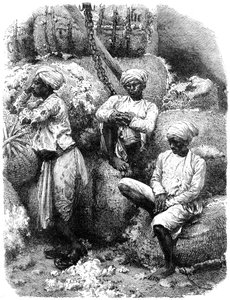 Un marché du coton à Bombay, Inde, 19e siècle - Unbekannt