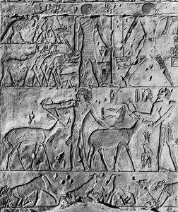 Scène de chasse du tombeau de Ptahhotep, près de Saqqarah, Égypte, vers 2650 av. J.-C., 1936 - Unbekannt