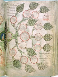 Une page du Liber Floridus, 12ème siècle - Unbekannt