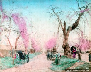Un parc au printemps, Sendai, Préfecture de Miyagi, Japon - Unbekannt