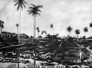Action de PasoReal, 1896 - Unbekannt