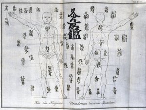 Acupuncture : carte du corps humain indiquant les points de moxibustion, Japon (c. 1690)