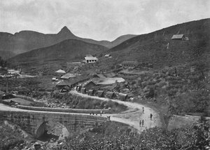 Adamspik et Plantation de Thé Brownlow, 1926