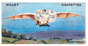 Oiseau volant d