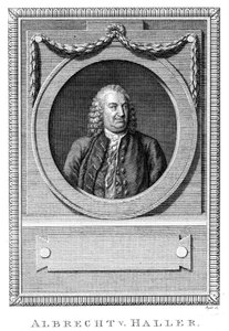Albrecht von Haller, médecin et scientifique suisse, vers 1770-1780 - Unbekannt
