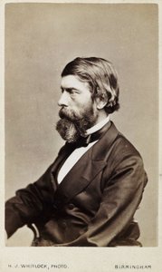 Alexander William Williamson, chimiste écossais, vers 1865 - Unbekannt