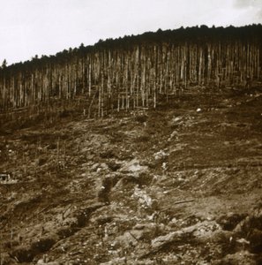 Alsace, vers 1914-1918 - Unbekannt