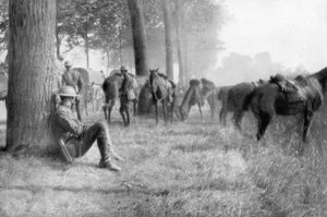 Unité de cavalerie américaine au repos, Chemin des Dames, France, 1918 - Unbekannt