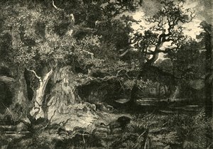 Une vieille forêt allemande, 1890 - Unbekannt