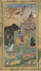 Animaux et oiseaux - Unbekannt