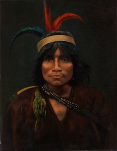 Indien Anishira