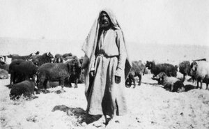 Berger arabe, région de Kazimain, Irak, 1917-1919