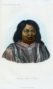 Araucano, natif du Chili, 1848 - Unbekannt