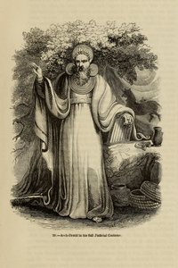Archidruide en costume judiciaire complet Du livre Old England: A Pictorial Museum, 1845 - Unbekannt