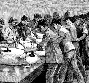 Abattoir de porcs de la compagnie Armour, Chicago, Illinois, USA, 1892 - Unbekannt