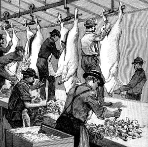 Abattoir de porcs de la société Armour, Chicago, Illinois, USA