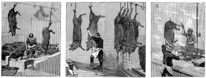 Abattoir de porcs de la compagnie Armour, Chicago, Illinois, États-Unis - Unbekannt