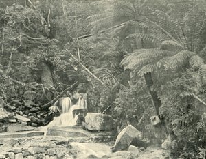 Au puits de Saint-Crépin, 1901 - Unbekannt