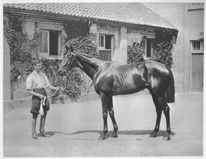 Étoile australienne, 1911 - Unbekannt