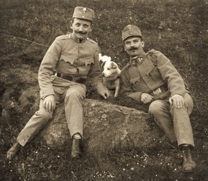 Soldats autrichiens avec un chien - Unbekannt