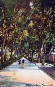 Avenue Pourpre, Ismaïlia, Égypte, c1900 - Unbekannt