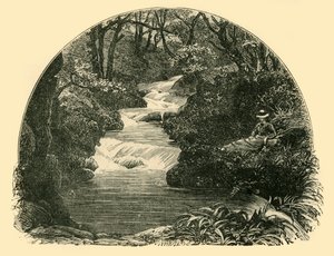 Toboggan de Bagworthy, 1898 - Unbekannt