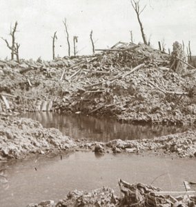 Rives de la rivière Yser, Dixmude, Belgique, vers 1914-1918 - Unbekannt