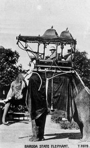 Éléphant de l