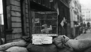 Barricade sur la rue de Chateaudun, libération de Paris, août 1944 - Unbekannt