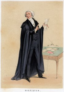 Avocat - Unbekannt