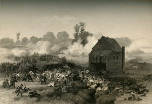 Bataille de Long Island, 1877 - Unbekannt