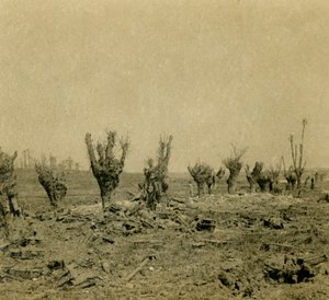 Champ de bataille, Maurepas, nord de la France, vers 1914-vers 1918 - Unbekannt