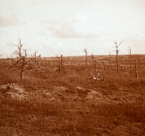Champ de bataille, Tahure, nord de la France, vers 1914-1918 - Unbekannt