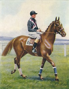 Cuirassé, Jockey : B. Hobbs, 1939 - Unbekannt