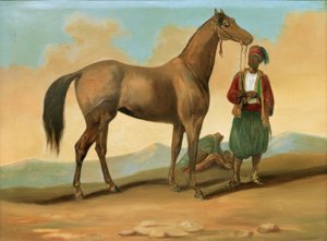 Bédouin avec cheval arabe