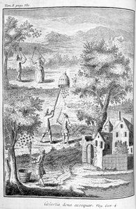Apiculture, 1775 - Unbekannt
