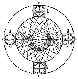 Comportement d