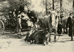 Réfugiés belges sur la route, 1939-1940, 1941