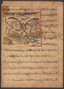 Bienfaits des parties des vautours...verso, fin des années 1200 - Unbekannt