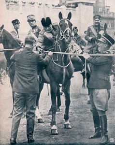 Benito Mussolini, leader fasciste italien, vers 1922-1933 - Unbekannt