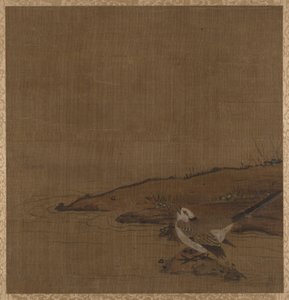 Oiseau près de l