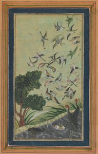 Oiseaux à Baran, peut-être du Babur-nama, fin XVIe siècle - Unbekannt