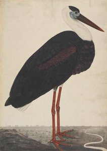 Cigogne noire dans un paysage, vers 1780 - Unbekannt
