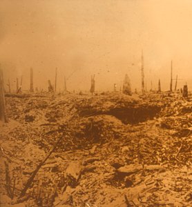 Bois du Chapitre, Vaux, nord de la France - Unbekannt