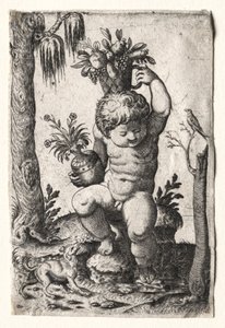 Garçon avec panier de fruits, 1500s ou 1600s