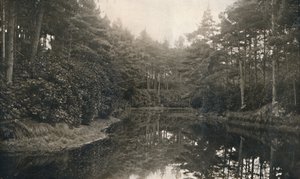 Branksome Chine et le lac, vers 1910 - Unbekannt