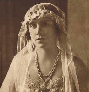 Demoiselle d